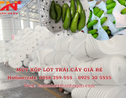 Mua Tấm Mút Xốp Pe Foam Lót Trái Cây Giá Sỉ Tại Kho Bình Định
