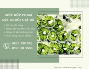 Tấm Mút Xốp Pe Foam Lót Trái Cây Xuất Khẩu