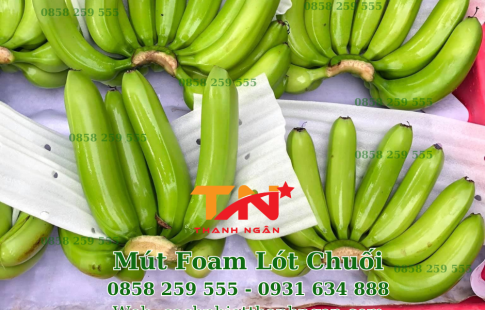 Tấm Xốp Pe Foam Đục Lỗ Lót Chuối Tại Gia Lai