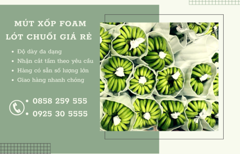 Tấm Mút Xốp Pe Foam Lót Trái Cây Xuất Khẩu