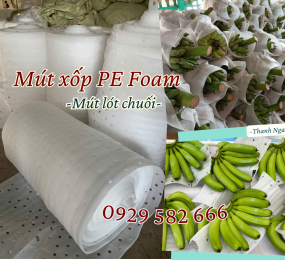 Mút Xốp Pe Foam Bọc Chuối Giá Rẻ Tại Định Quán Đồng Nai