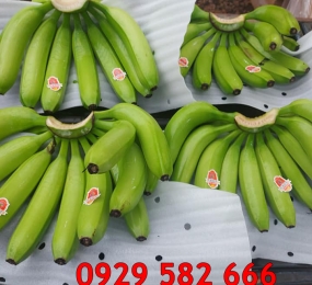 Màng Xốp Foam Lót Chuối Tại Long Khánh