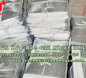 Túi Xốp Giữ Nhiệt Pe Opp In Logo Thanh Ngân