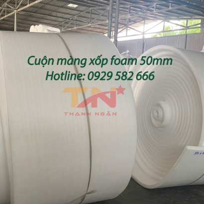 Mút Xốp Pe Foam dày 100mm Tại Định Quán