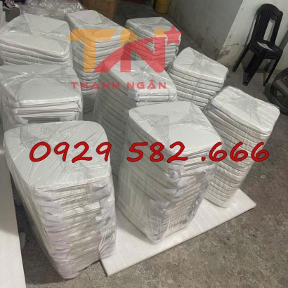 Màng Mút Xốp PE Foam Thanh Ngân