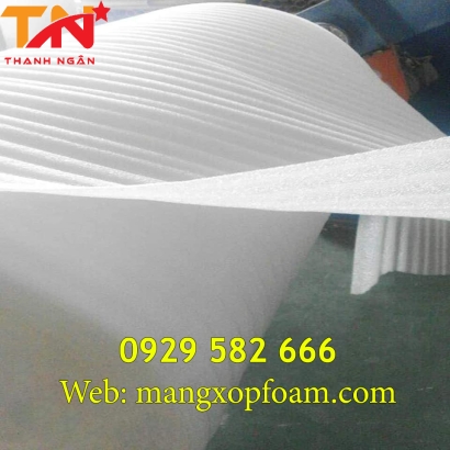 Xốp Foam Lót Dưa Hấu Ở Đồng Nai