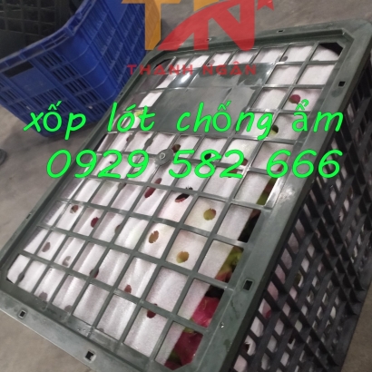 Xốp Foam Lót Dưa Hấu Ở Đồng Nai