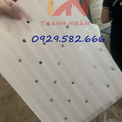 Cuộn Màng Pe Foam 5mm Lót Dưa Hấu Tại Định Quán