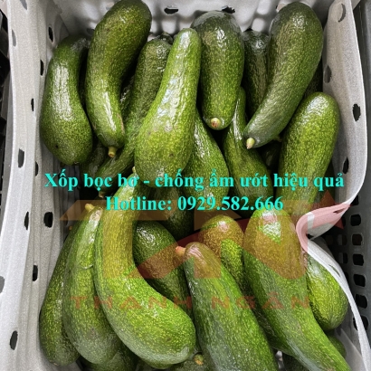 Màng Xốp Foam Lót Chuối Tại Long Khánh 