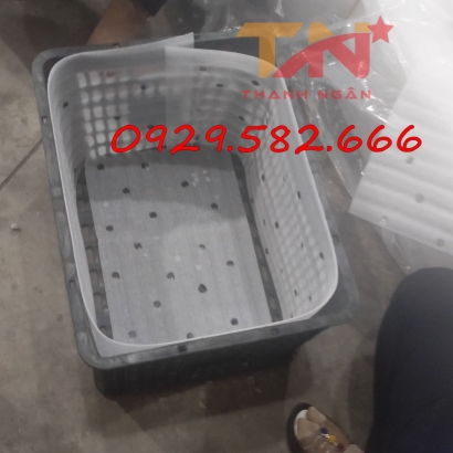 Xốp Pe Foam Đục Lỗ Lót Chuối Ở Đồng Nai