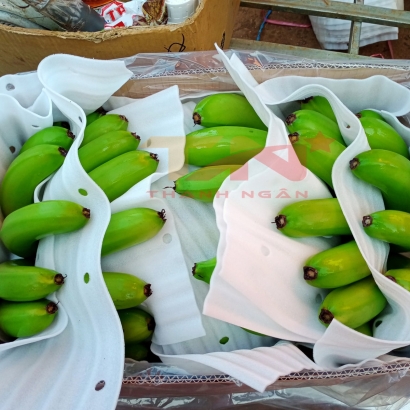 Màng Xốp Foam Lót Chuối Tại Long Khánh 