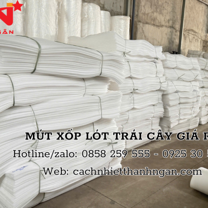 Mua Tấm Mút Xốp Pe Foam Tại KCN Biên Hòa 