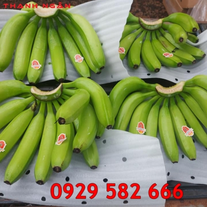 Màng Xốp Foam Lót Chuối Tại Long Khánh 