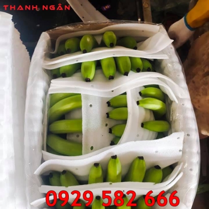 Xốp Foam 2mm Bọc Chuối ở Trảng Bom Đồng Nai