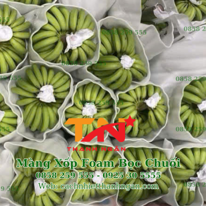 Mút Xốp Pe Foam Lót Chuối Giá Rẻ Tại Đồng Nai 