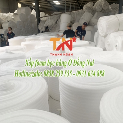Nhà máy sản xuất mút xốp pe foam ở KCN Long Bình Đồng Nai