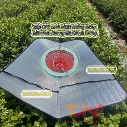 Tấm Xốp Tráng Bạc Cách Nhiệt Làm Mũ Chống Nắng Cho Người Dân Đi Ruộng