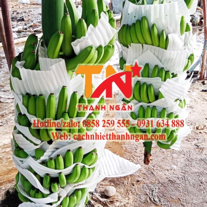 Mút Xốp Pe Foam Thanh Ngân Giá Sỉ Tại Kho